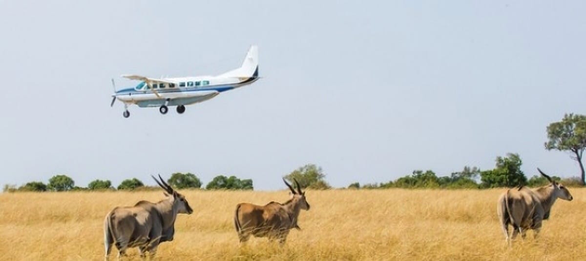 16-Day Grand East Africa Primate and Wilderness Circuit Expedition