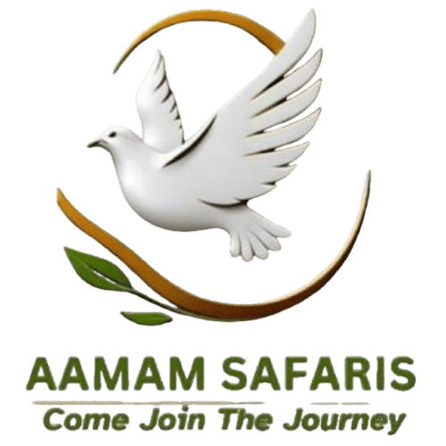 Aamam Safaris Local Operator Experts Kampala Uganda Office